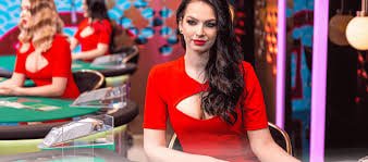 hbajee apk প্রাইভেসি ফিচার কার্ডের দৃশ্য